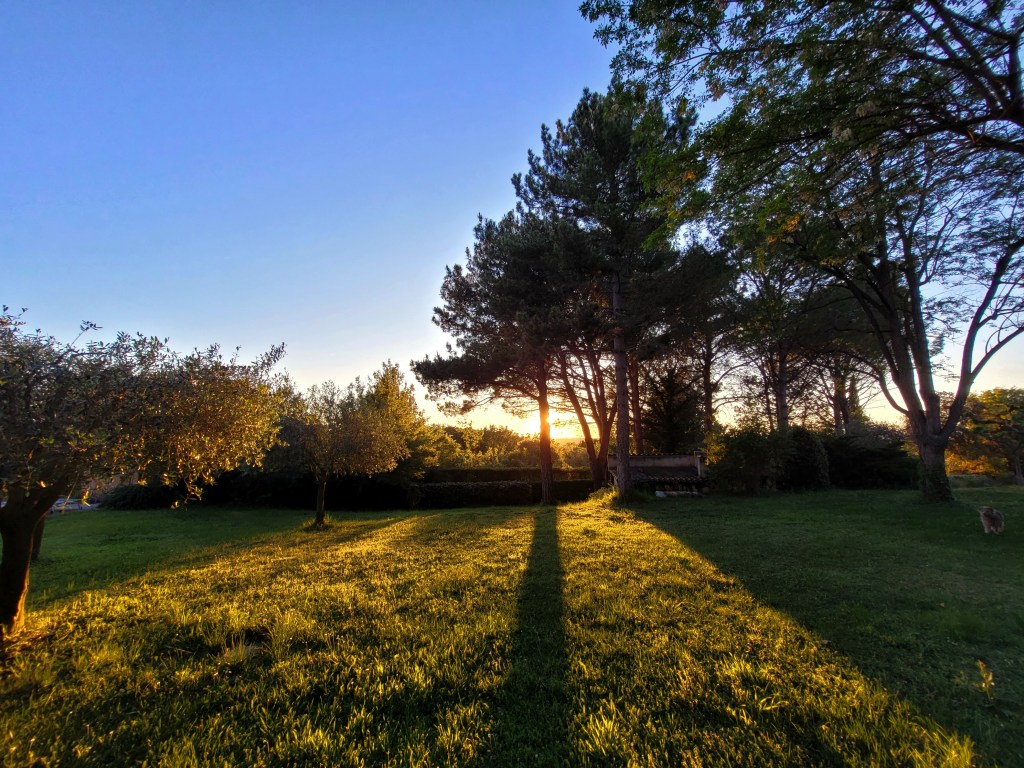 Méditation du dimanche (22 TO) : Donne-moi la Sagesse&nbsp;!