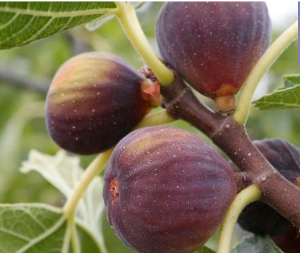 Esprit es-tu là ? 3/3 Vivons en enfants de lumière&nbsp;!